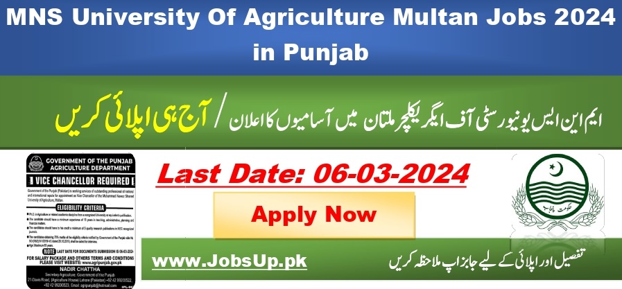 MNS University Of Agriculture Multan Jobs 2024 in Punjab - JOBSUP.PK